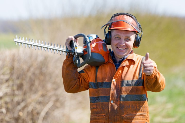 tree cutting service
