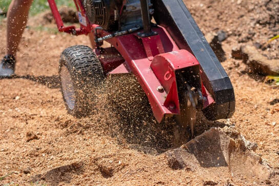 stump grinding near me